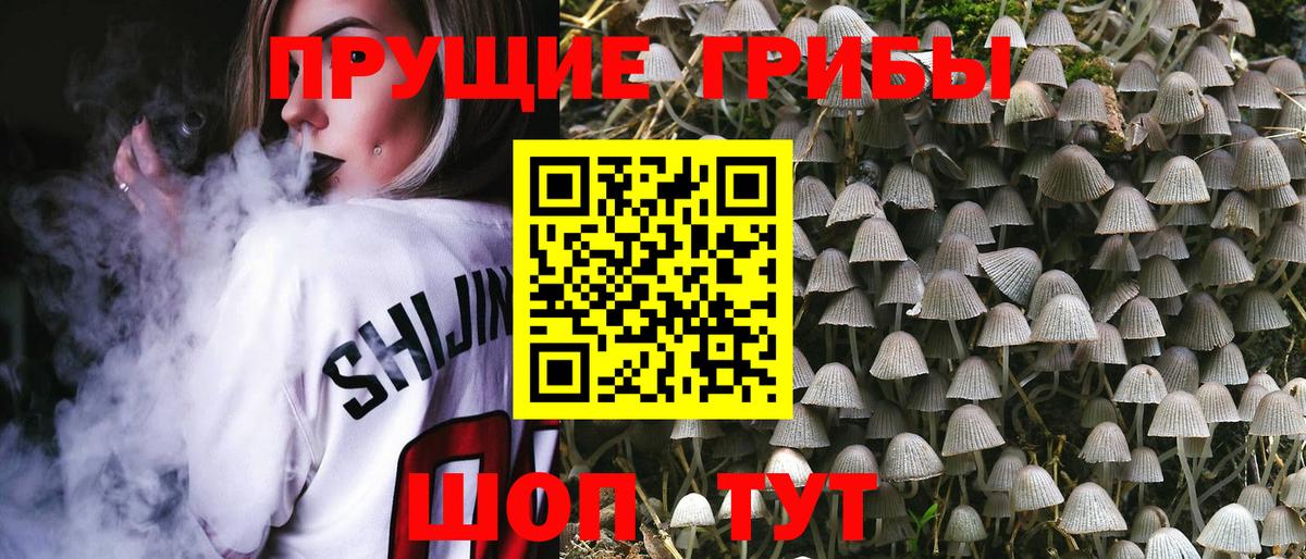Галлюциногенные грибы мицелий Камышин