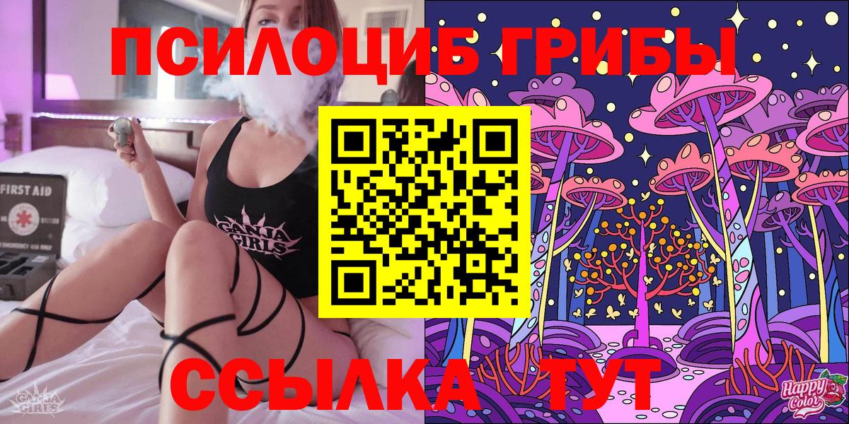 Камышин  Псилоцибиновые грибы Cubensis  магазин продажи   Вход с VPN 
